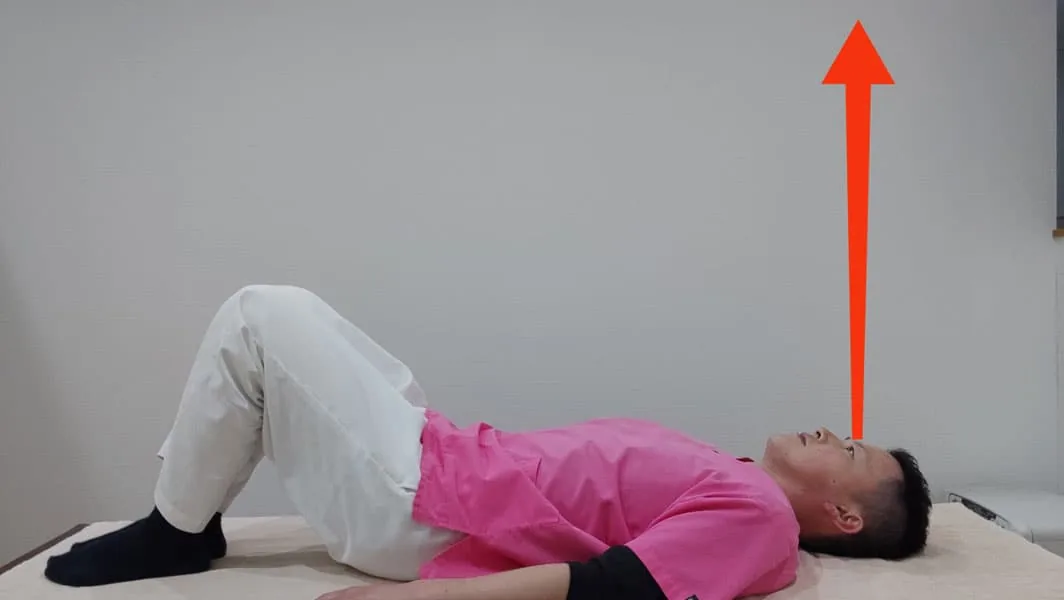 仰向けで膝を立てる姿勢